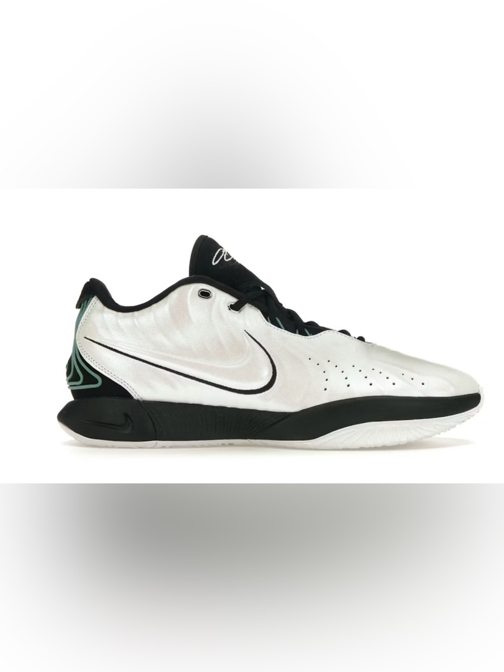 Nike LeBron XXI size 12 men’s EUC